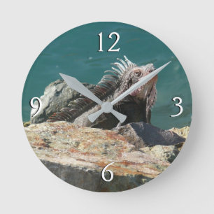 Leguan auf St. Thomas Runde Wanduhr