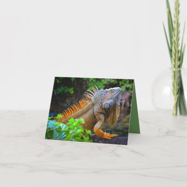 "Leguan"  Dankeskarte (Vorderseite)