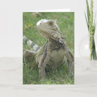 Leguan-Gruß-Karte