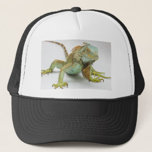 Leguan Truckerkappe