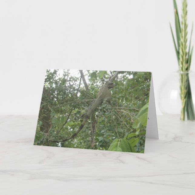 Leguangrußkarte (Version abnehmend) Karte (Vorderseite)