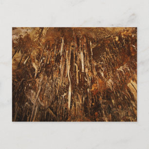 Lehman Cave Postkarte