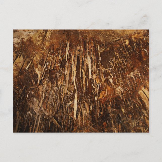 Lehman Cave Postkarte (Vorderseite)