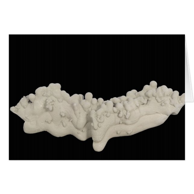 LehmConcretion (Vorderseite (Horizontal))