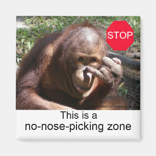 Lehren zum Tierleben #1 Magnet