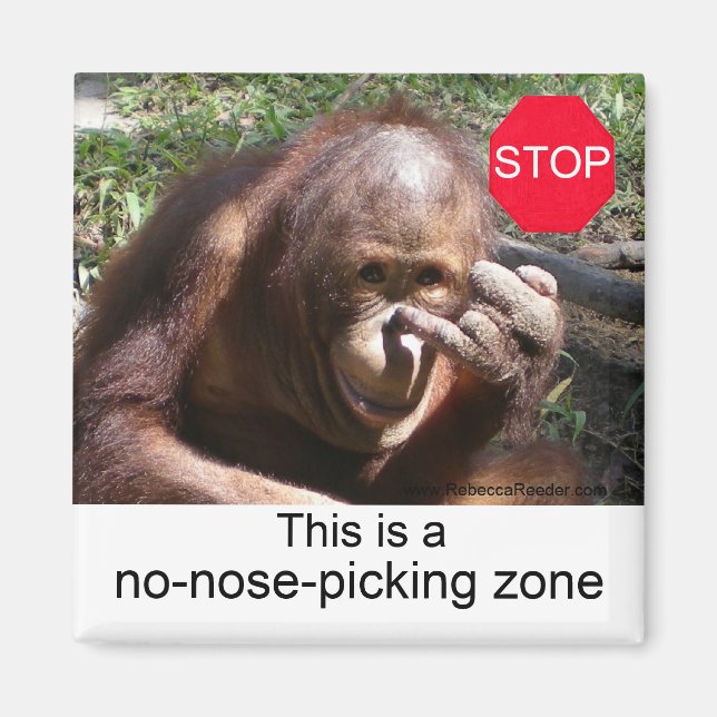 Lehren zum Tierleben #1 Magnet (Vorne)