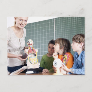 Lehrer, die dem Menschen das Modell des menschlich Postkarte