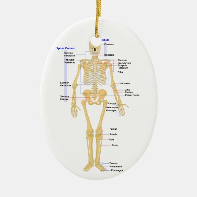 Lehrer für Wissenschafts-Weihnachtsverzierung Keramik Ornament (Vorne)