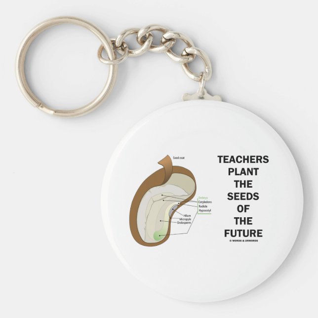 Lehrer Pflanze der Samen der Zukunft (Bean Seed) Schlüsselanhänger (Vorne)