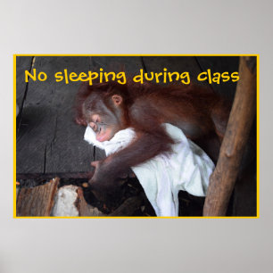 Lehrerordnung Poster