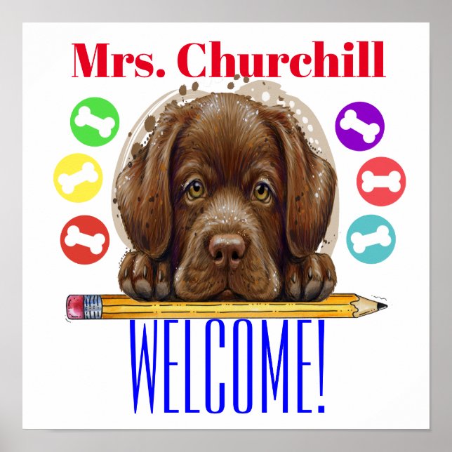 Lehrerposter - SRF Poster (Vorne)