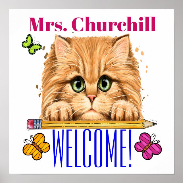 Lehrerposter - SRF Poster (Vorne)