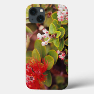 Lehua blüht in den Vulkanen Hawaiis Case-Mate iPhone Hülle