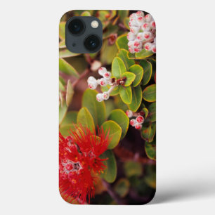 Lehua blüht in den Vulkanen Hawaiis iPhone 13 Hülle