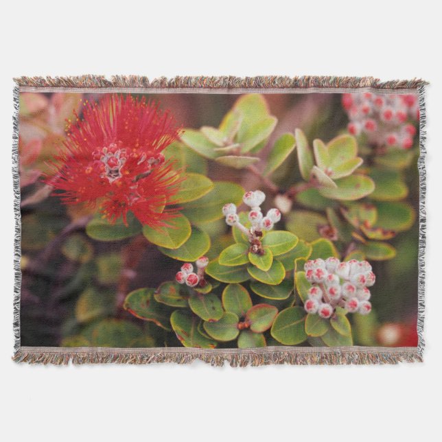 Lehua blüht in den Vulkanen Hawaiis Decke (Vorderseite)