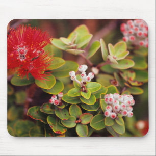 Lehua blüht in den Vulkanen Hawaiis Mousepad