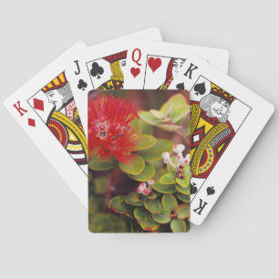 Lehua blüht in den Vulkanen von Hawaii Spielkarten