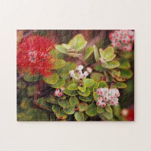 Lehua-Blüten in Hawaii-Vulkanen Puzzle