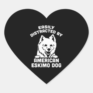 Leicht abgelenkt von amerikanischen Eskimo-Hunden Herz-Aufkleber