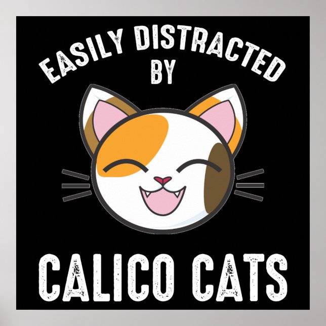 Leicht abgelenkt von Calico Katzen Poster (Vorne)