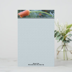Leicht gefrosteter Kalifornischer Mohn Personalize Briefpapier