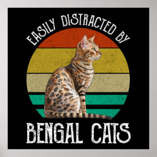 Leicht von Bengalischen Katzen abgelenkt Poster