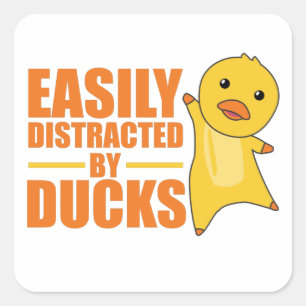 Leicht von Enten abgelenkt - Funny Duck Quadratischer Aufkleber