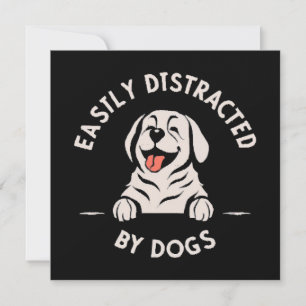 Leicht von Hunden abgelenkt