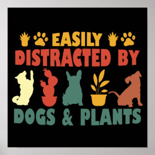 Leicht von Hunden und Pflanze abgelenkt Poster