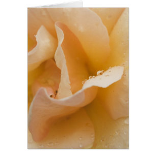 Leichte die Touch-Karte der Anmut