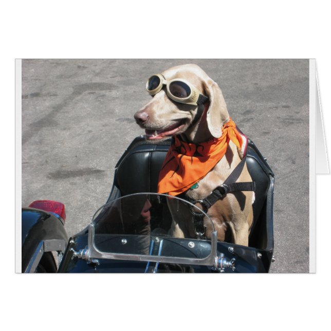 Leichte Fahrer (Vorderseite (Horizontal))