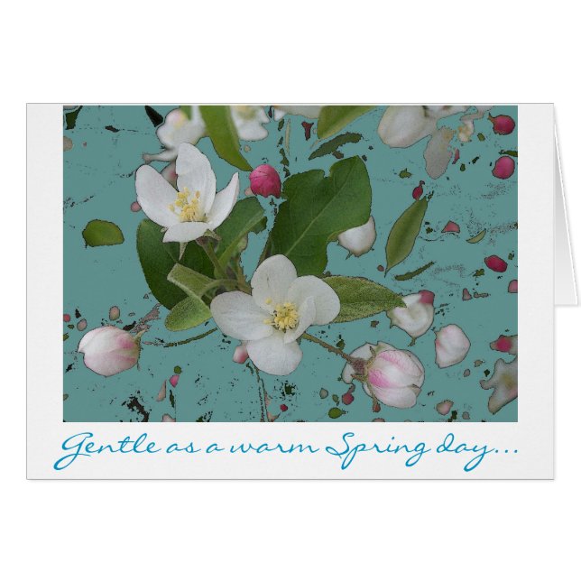 Leichte Gedanken (Vorderseite (Horizontal))