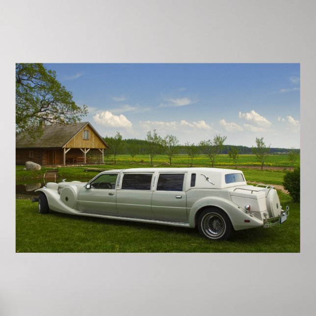 Leichte Limousine auf der Wiese Poster (Vorne)