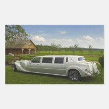 Leichte Limousine auf der Wiese