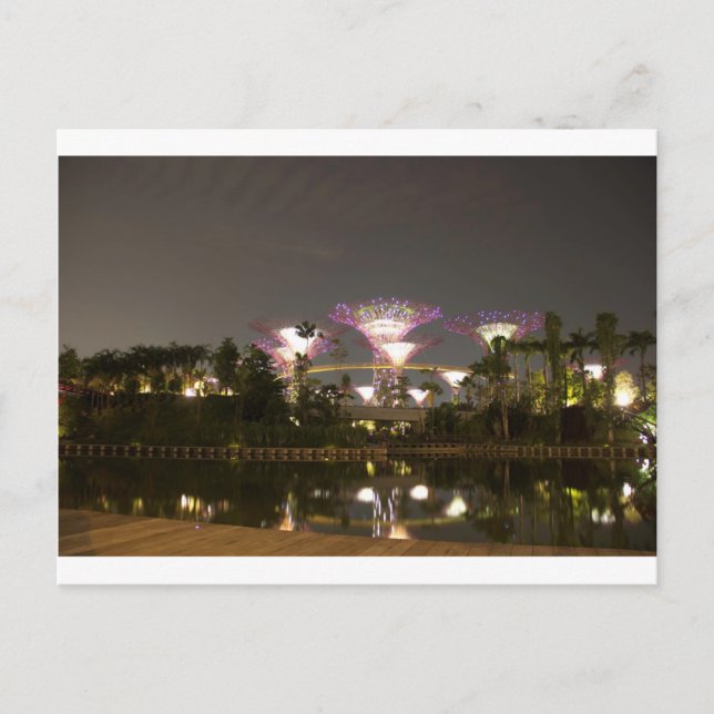 Leichte Superbäume im Garten an der Bucht Postkarte (Vorderseite)