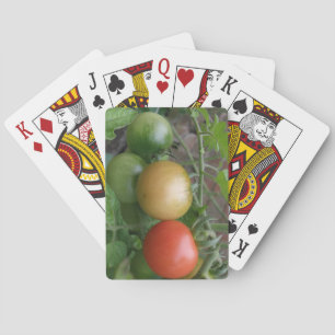 Leichte Tomaten, die Karten spielen Spielkarten