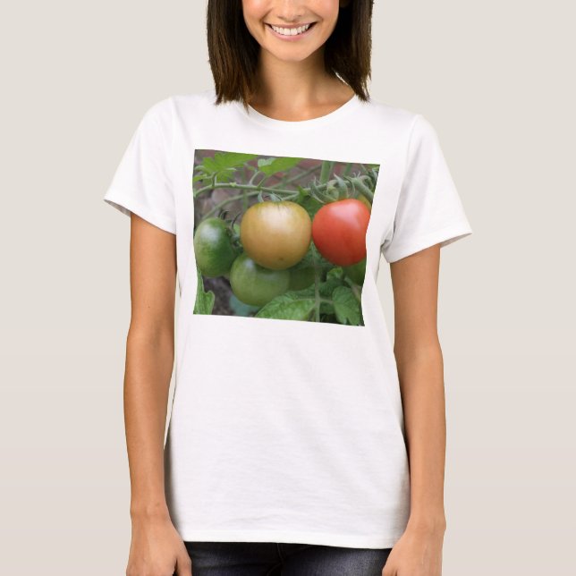 Leichte Tomaten - Ladys T Shirt (Vorderseite)