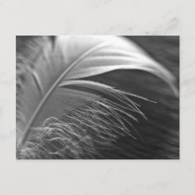 Leichtigkeit Postkarte (Vorderseite)