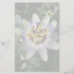 Leidenschaft Blume Stationery Briefpapier