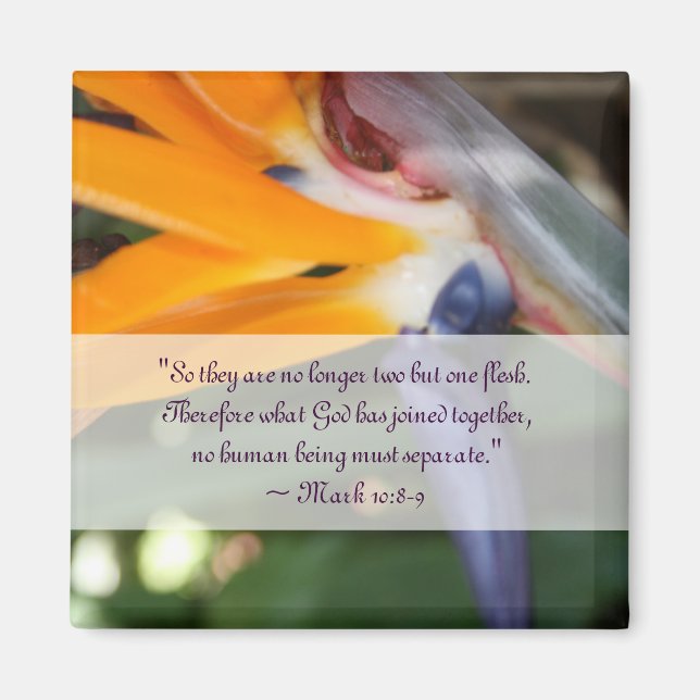 Leidenschaft im Paradies Christliche Gastgeschenk  Magnet (Vorne)