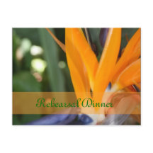 Leidenschaft im Paradies Probe Abendessen Postkart