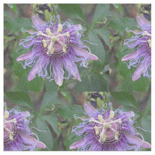 Leidenschafts-Blume Stoff