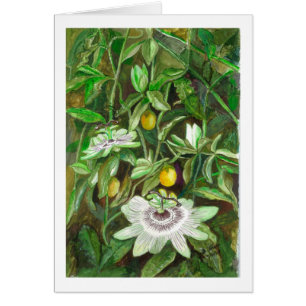 Leidenschafts-Blumen