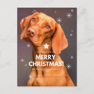 LEIDER CHRISTMAS! POSTKARTE