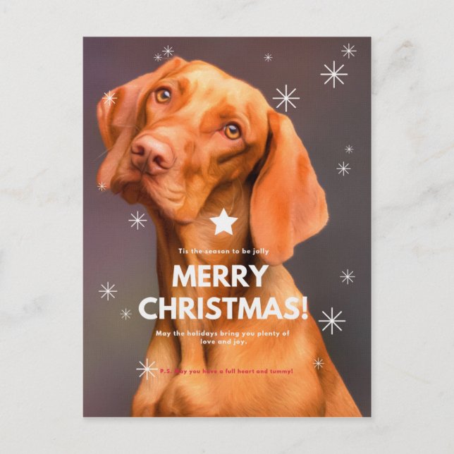 LEIDER CHRISTMAS! POSTKARTE (Vorderseite)