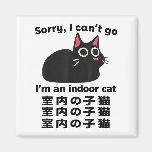 Leider kann ich nicht gehen, ich bin ein Indoor Ca Magnet