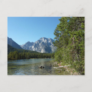 Leigh Lake at Grand Teton Nationalpark Postkarte