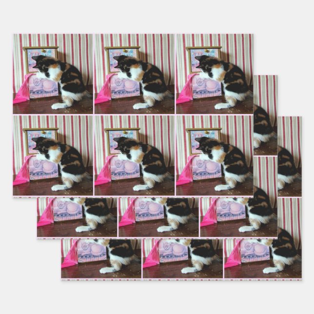 Leilanis Wardrobe - Jedem Anlass Geschenkpapier Set (Set)