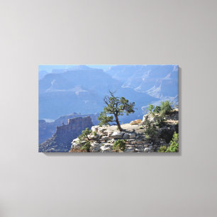Leinenbaum im Grand Canyon, gewickelt Leinenschrif Leinwanddruck