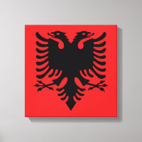Leinenschildkröte